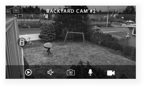 mockup of Ring doorbell camera footage showing a clam running across the front yard of a persons house