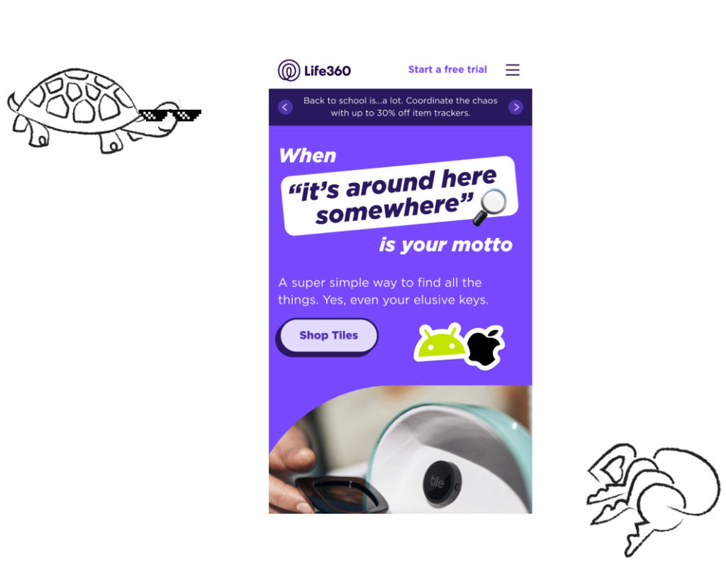 final web design and illustrations including a turtle wearing sunglasses
