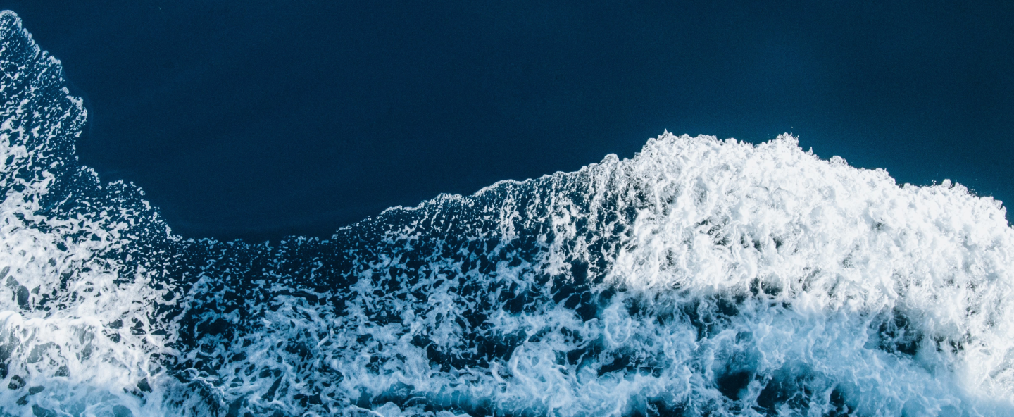 birds eye view of a curved white ocean wave crashing on a deep blue sea